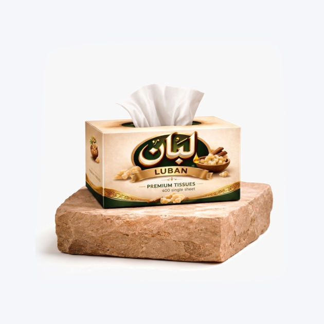 LUBAN Cartoon